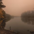 Nebel auf dem Lampertheimer Biedensand