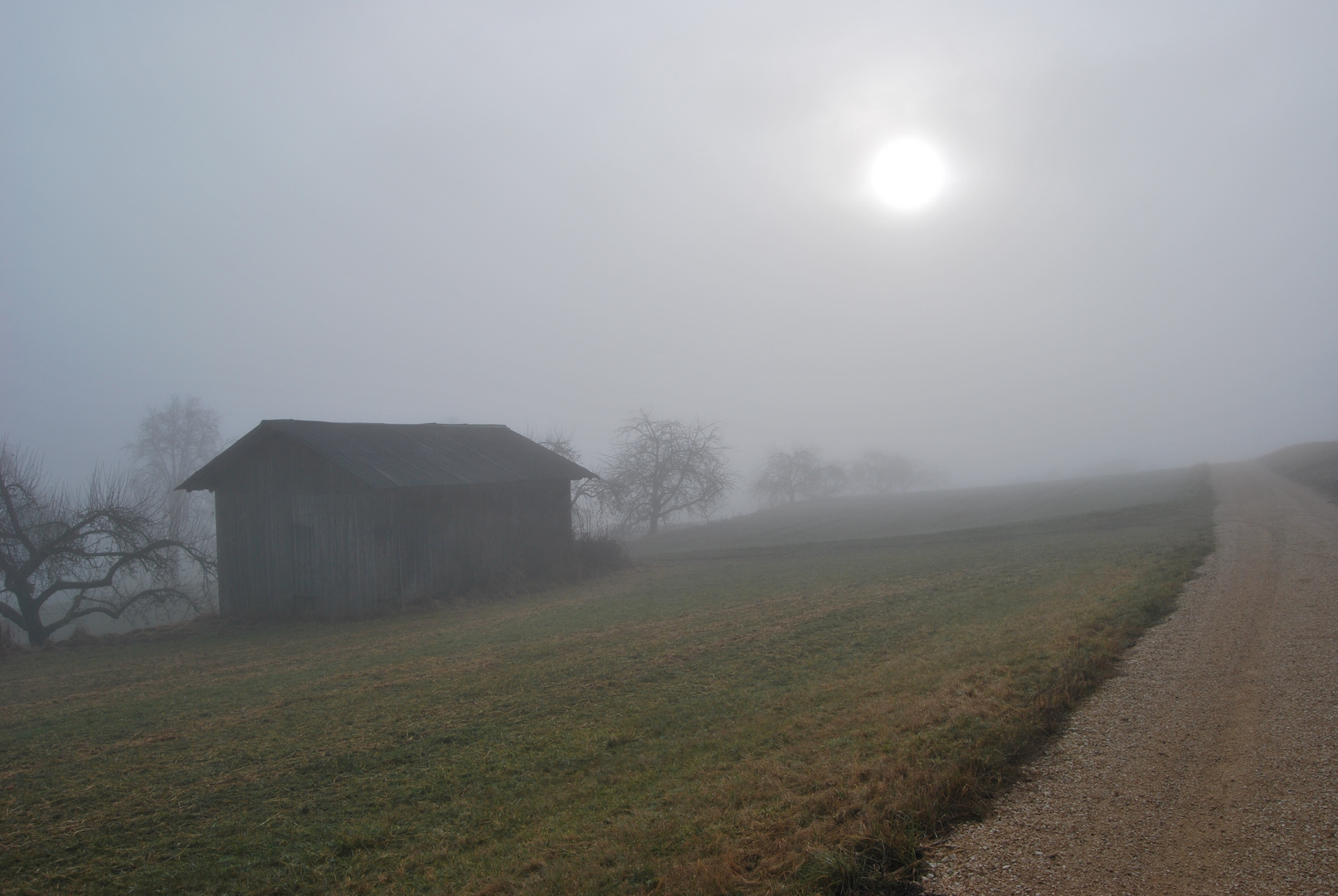 Nebel ........auf dem Land