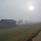 Nebel ........auf dem Land