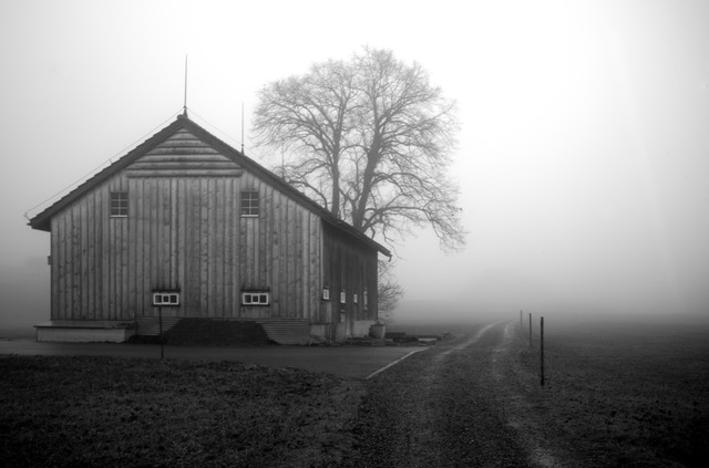 Nebel auf dem Lande