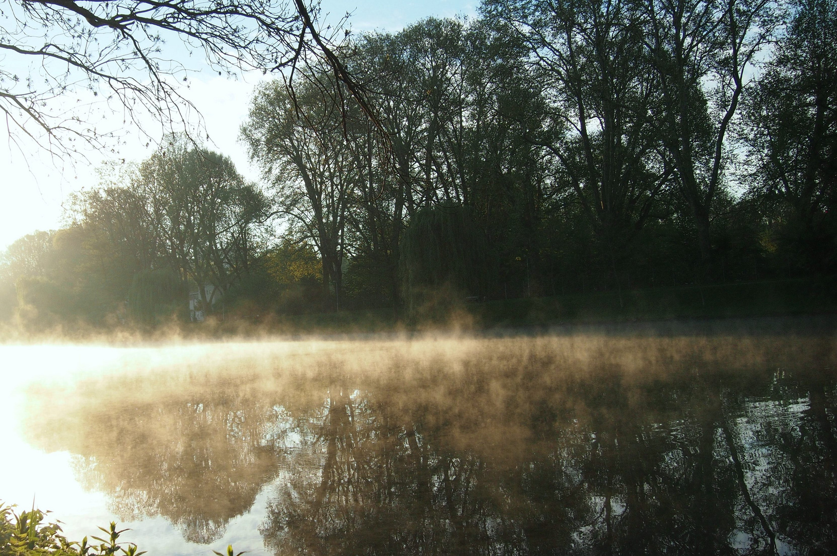 Nebel auf dem Neckar