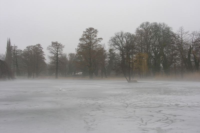 Nebel auf dem noch zugefrorenen Teich