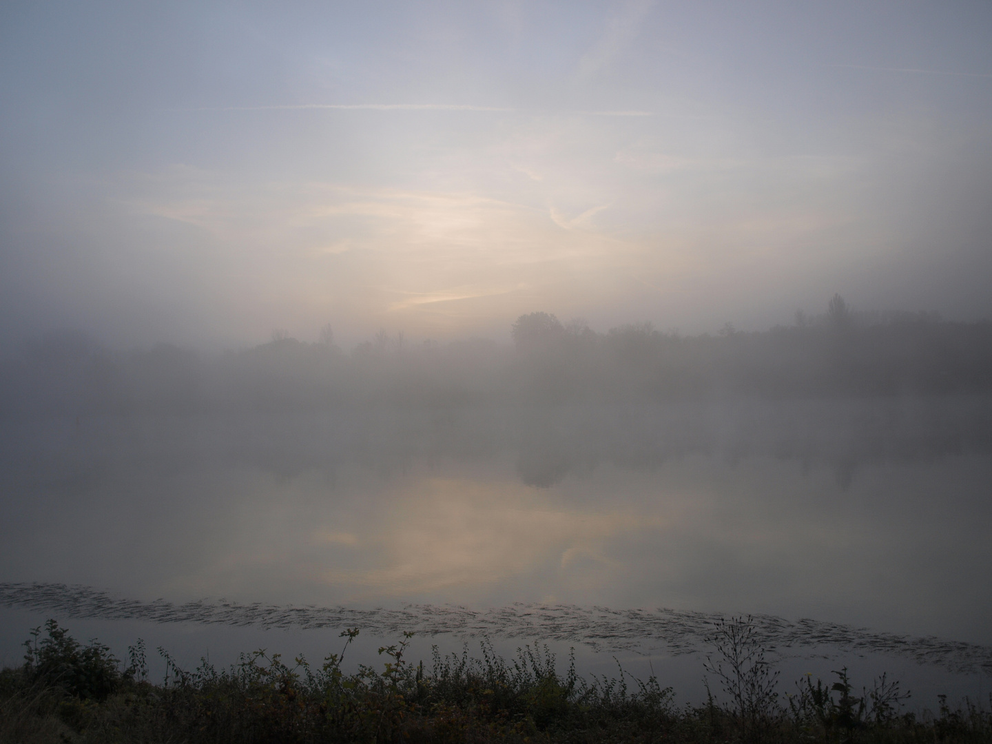 Nebel auf dem Rhein