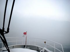 Nebel auf dem Rhein