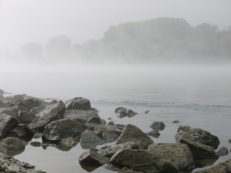 Nebel auf dem Rhein