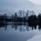 Nebel auf dem See