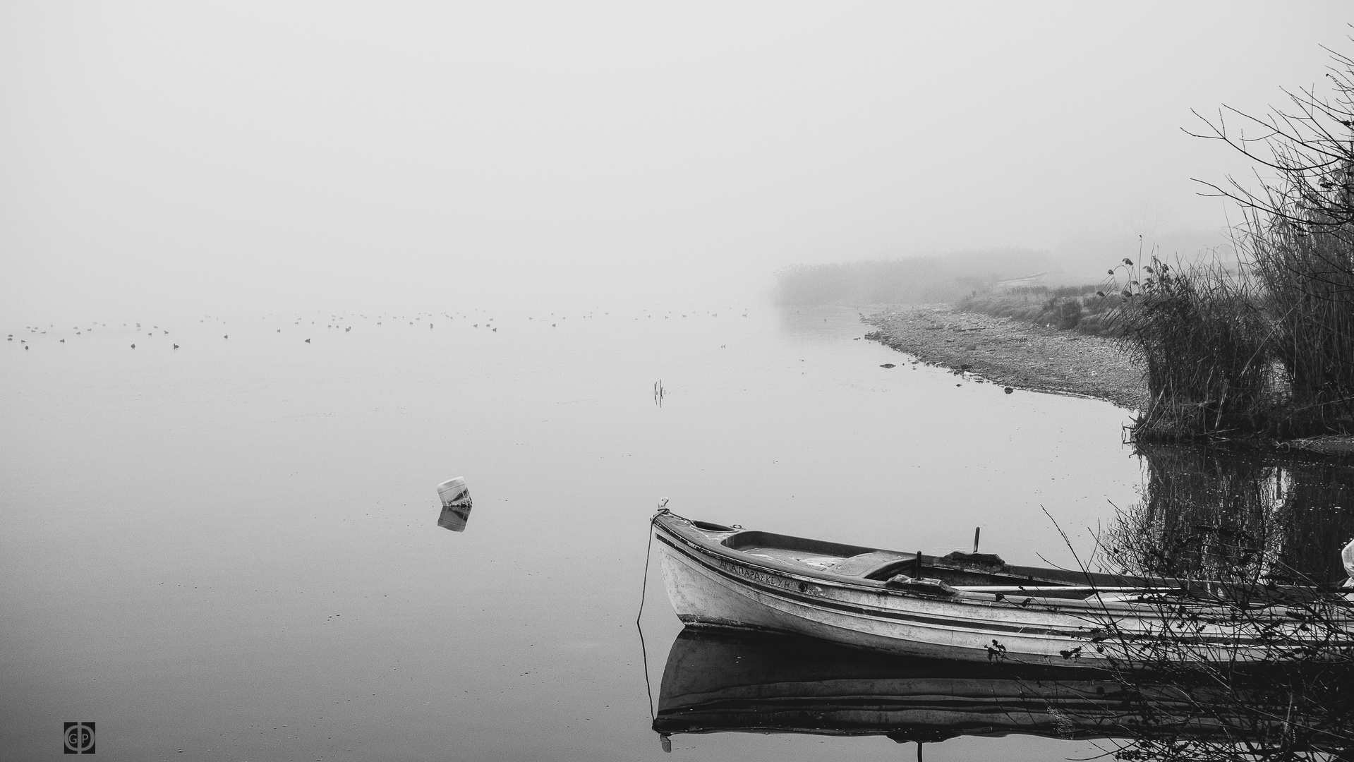 Nebel auf dem See (F21)