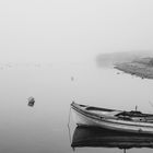 Nebel auf dem See (F21)