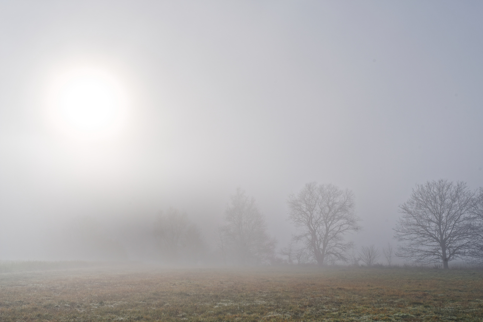 Nebel auf dem Stennweiler Flur