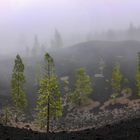 Nebel auf dem Vulkan