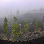 Nebel auf dem Vulkan