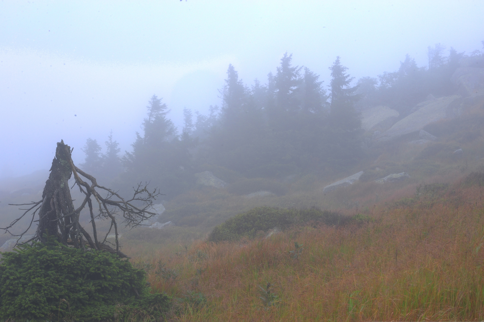 Nebel auf dem Weg nach ganz oben........