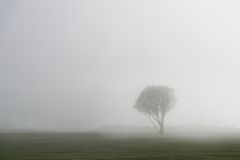 Nebel auf den Klippen