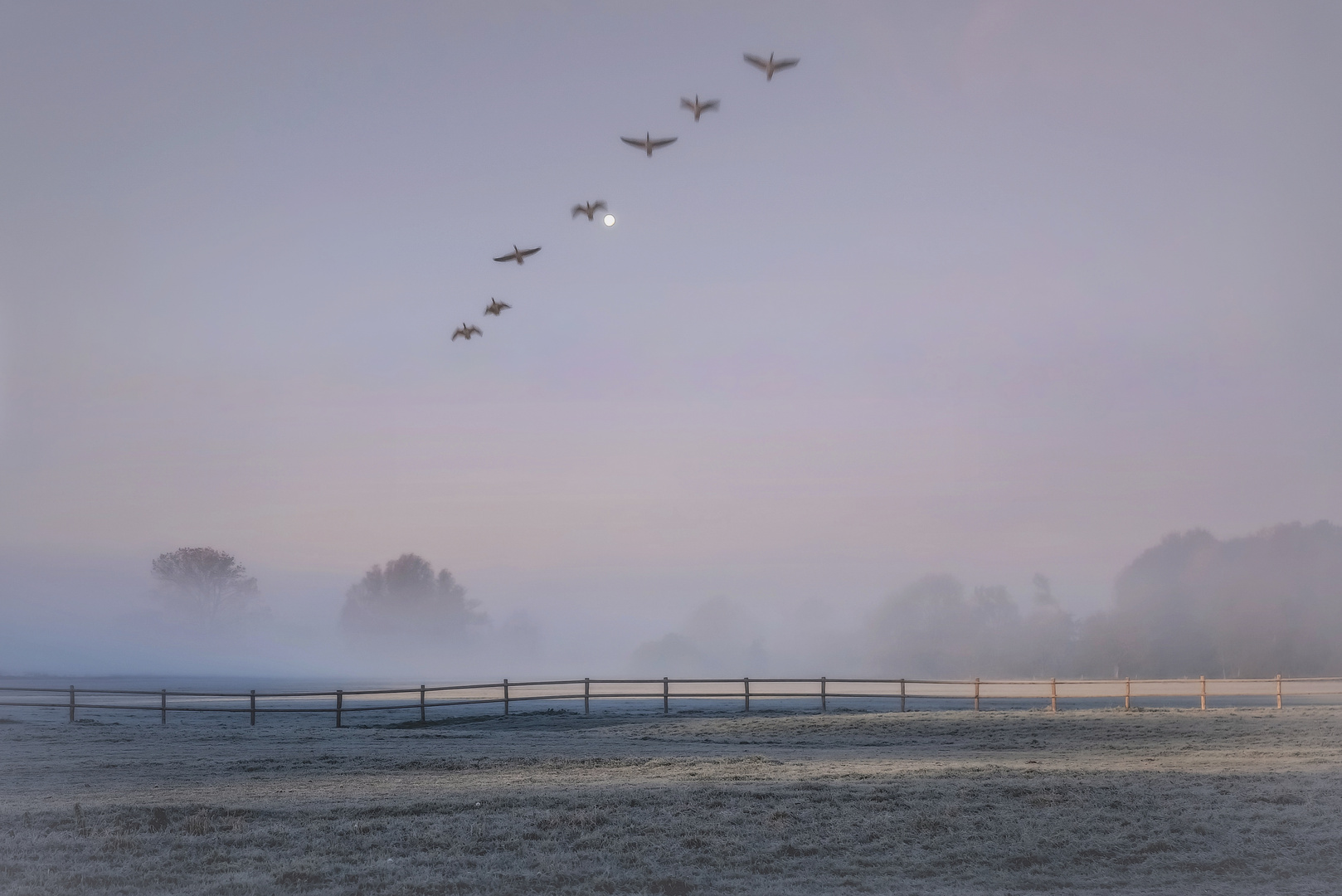 Nebel auf den Ruhrwiesen