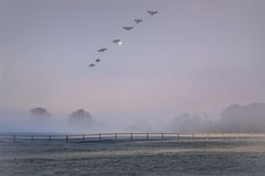 Nebel auf den Ruhrwiesen