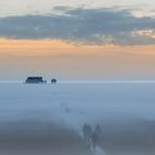 ...Nebel auf den Salzwiesen...