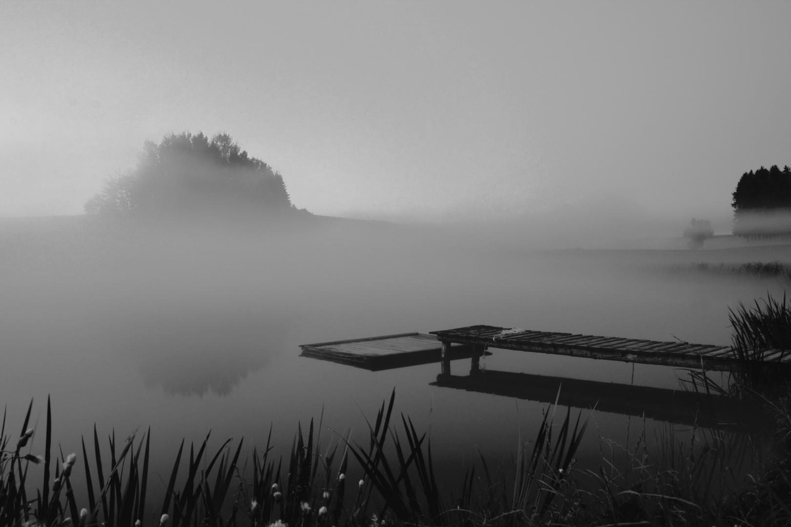 Nebel auf den Weihern