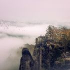 Nebel auf der Bastei