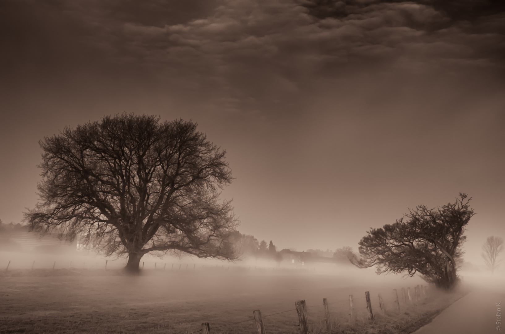 Nebel auf der Boeckelt