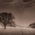 Nebel auf der Boeckelt