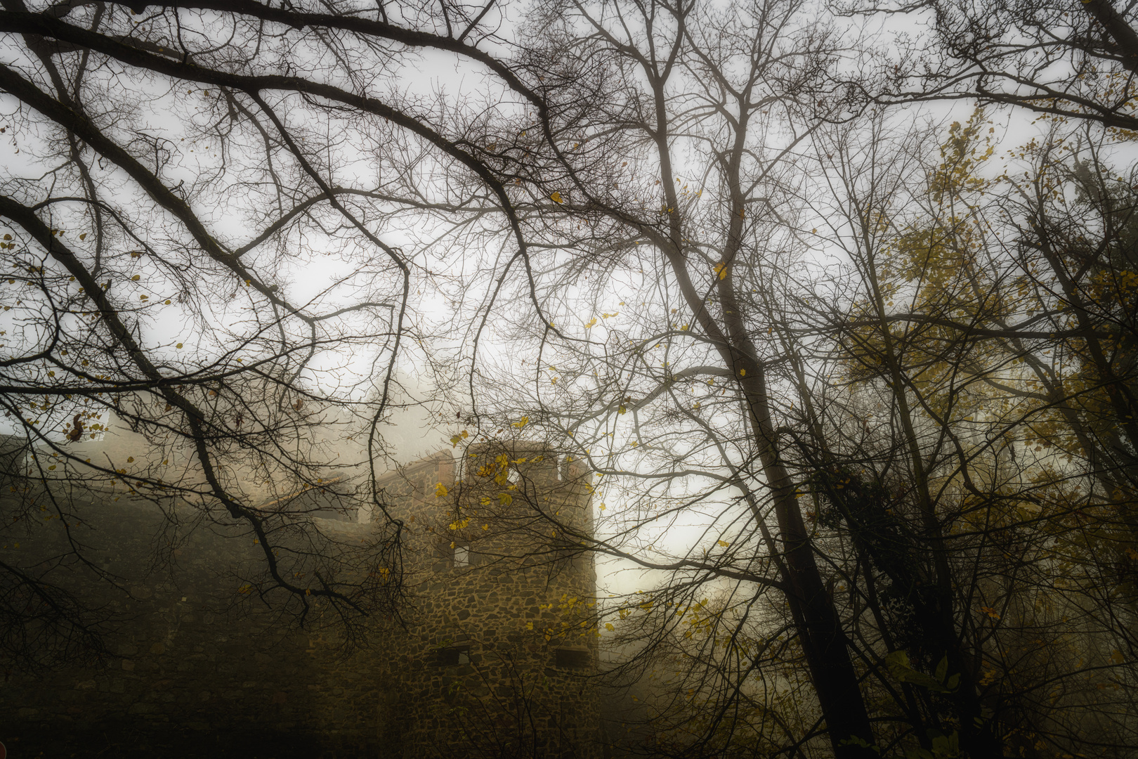 Nebel auf der Burg Frankenstein