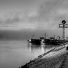Nebel auf der Donau