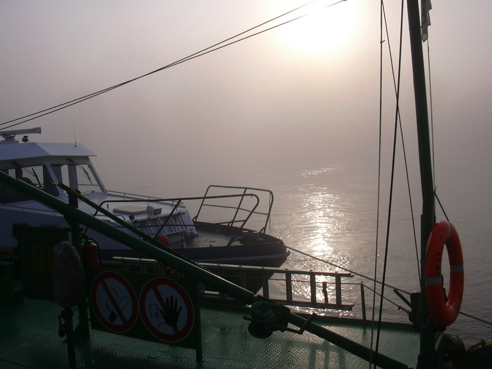 Nebel auf der Elbe