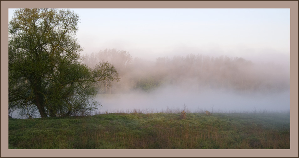 Nebel auf der Elbe bei Coswig (Anhalt)