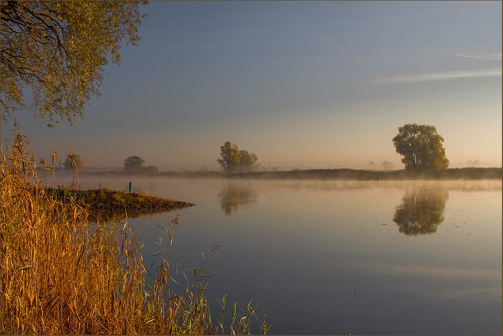 Nebel auf der Elbe