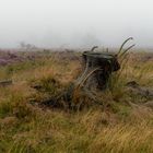 Nebel auf der Hochheide