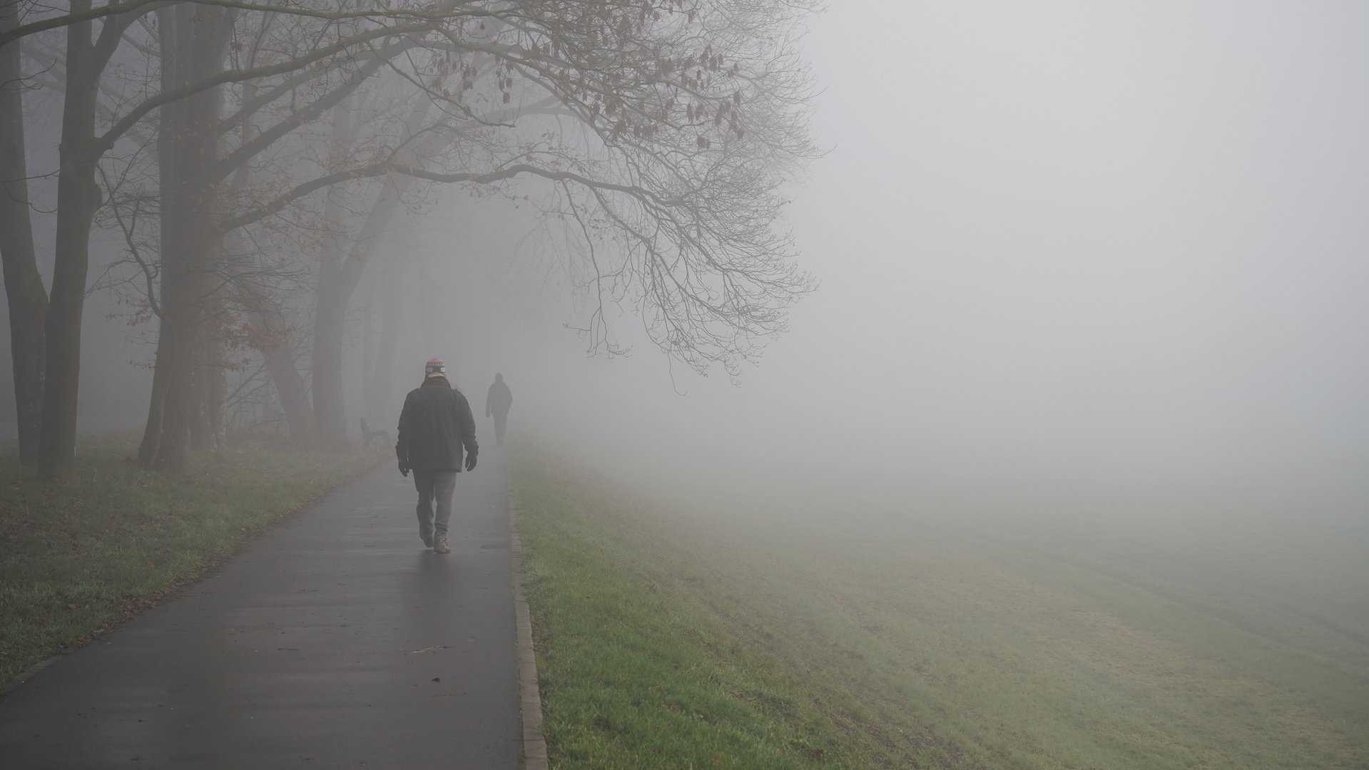 Nebel auf der Kossler Wiese, Essen-Steele