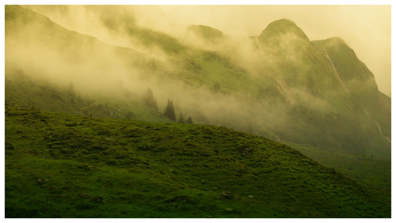 Nebel auf der Oltscherenalp