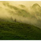 Nebel auf der Oltscherenalp