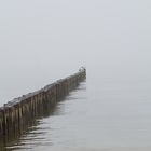 Nebel auf der Ostsee