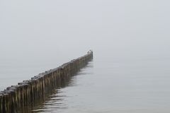 Nebel auf der Ostsee