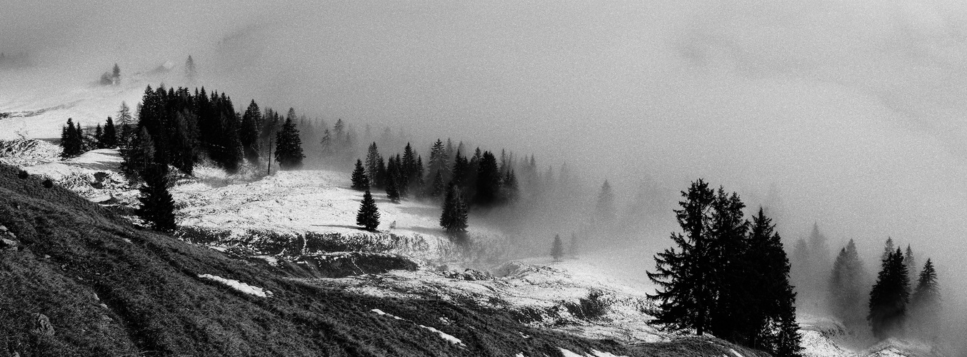 Nebel auf der Rossfeldstrasse