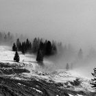 Nebel auf der Rossfeldstrasse