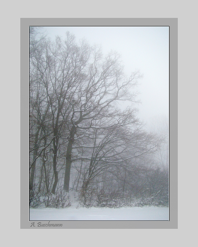 Nebel auf der Schwäbischen Alb I