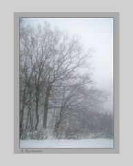 Nebel auf der Schwäbischen Alb I