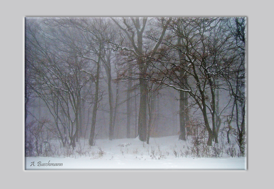 Nebel auf der Schwäbischen Alb II