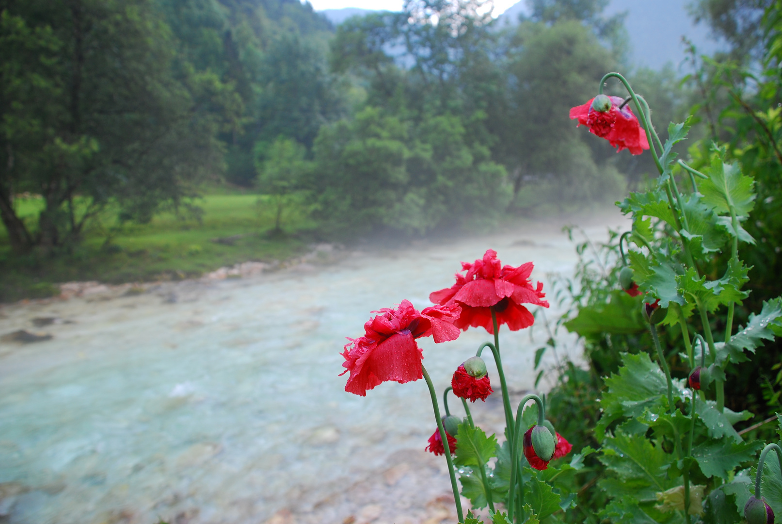 Nebel auf der Soca