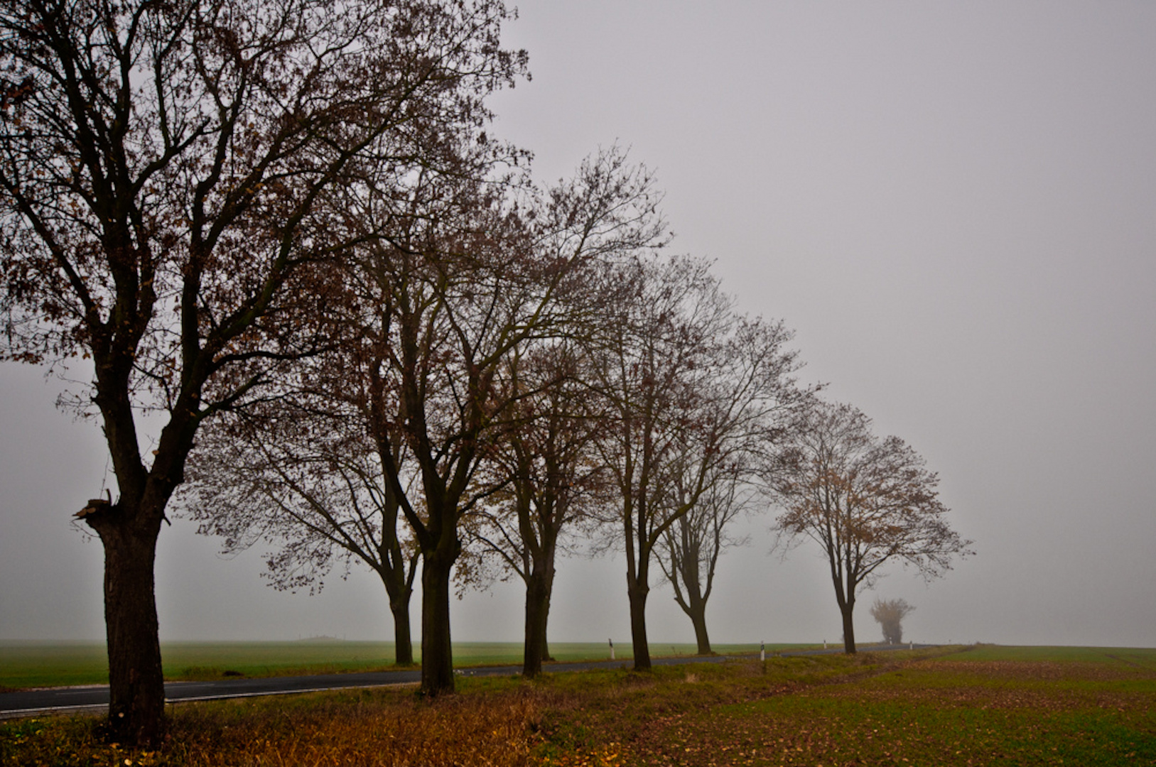 Nebel auf der Straße