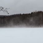 Nebel auf der Waldscheibe