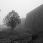 Nebel auf der Zitadelle von Bitsch