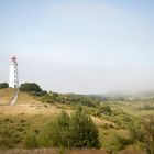 Nebel auf Hiddensee