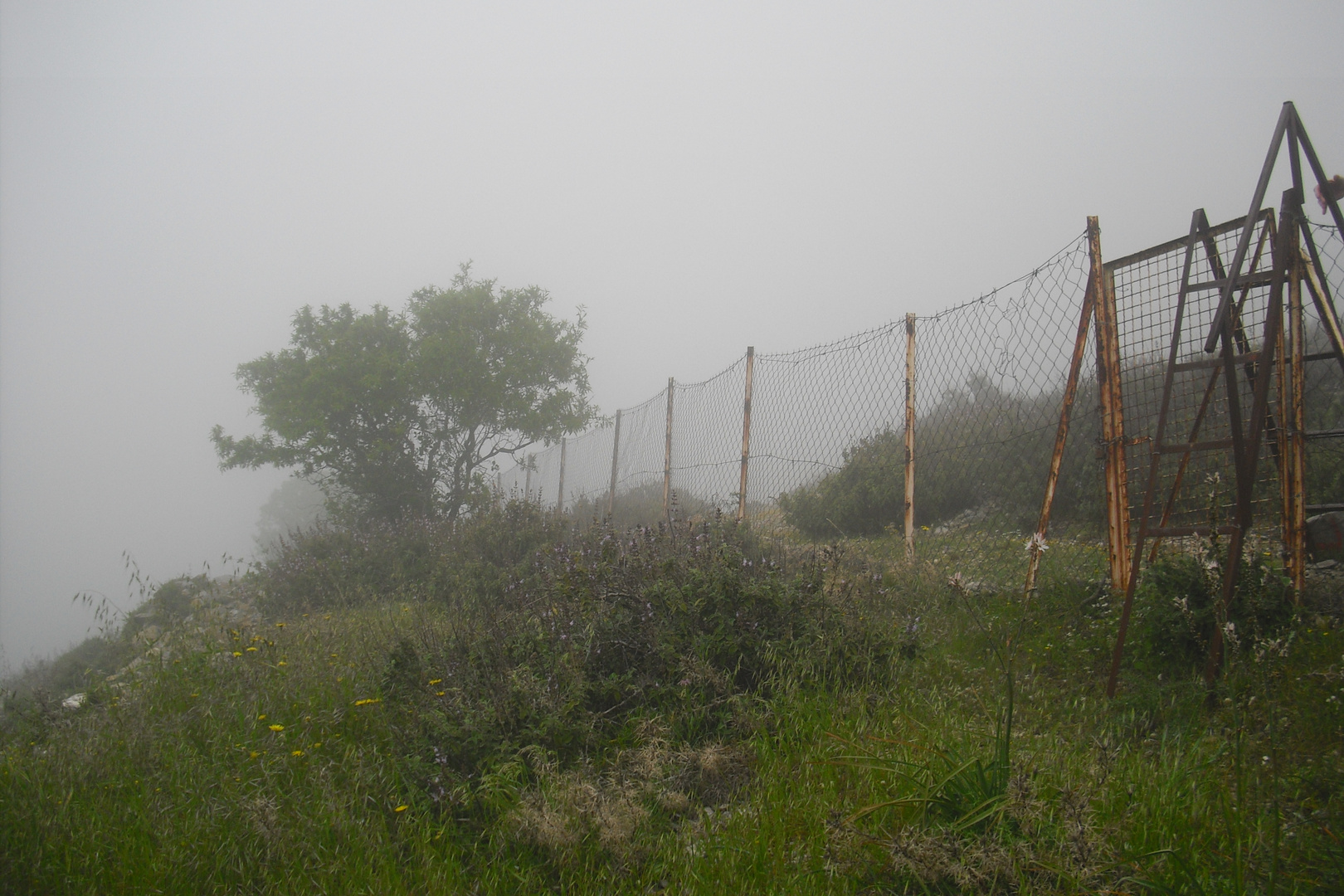 Nebel auf Rhodos