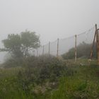 Nebel auf Rhodos