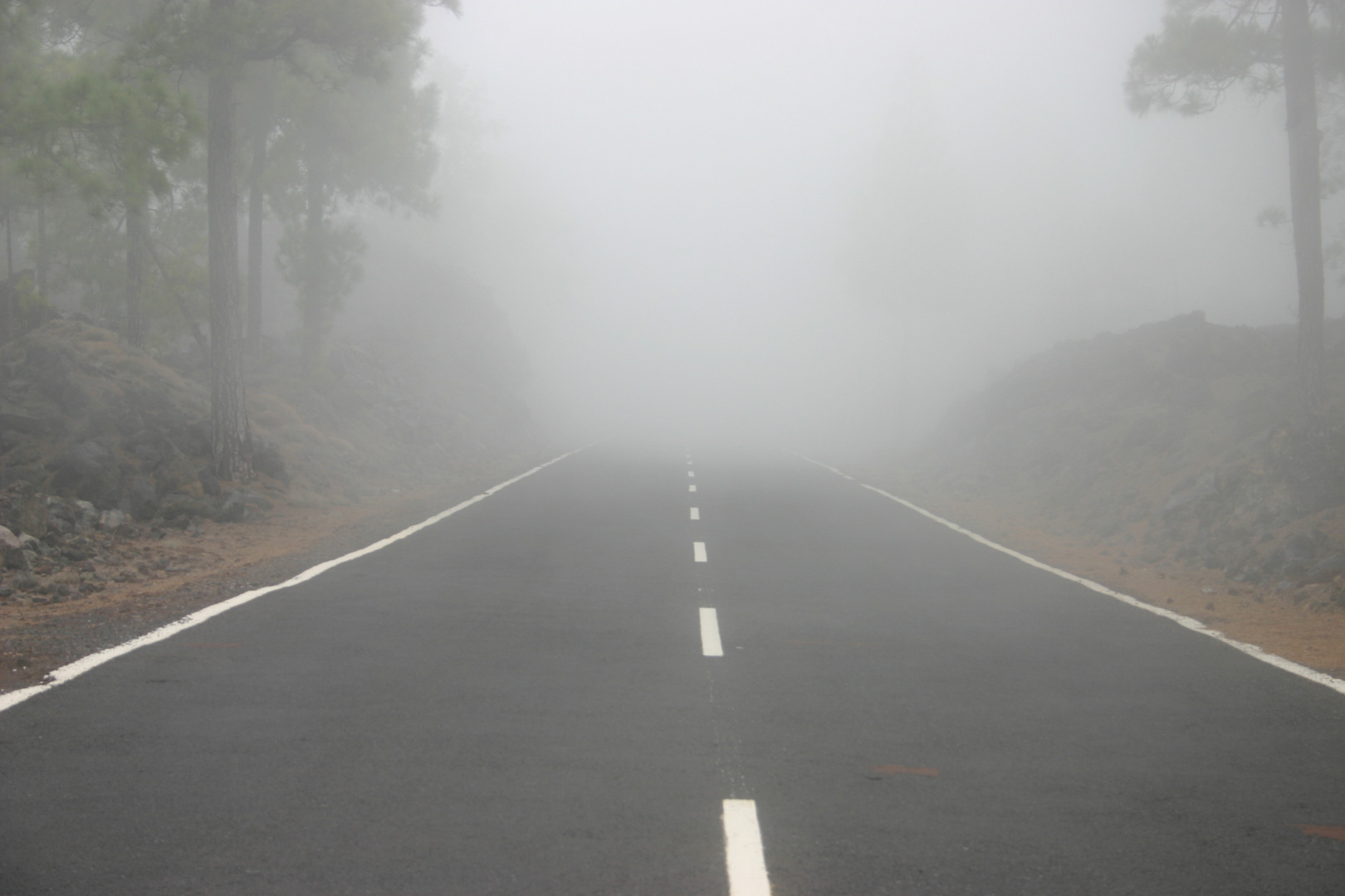 Nebel auf Teneriffa