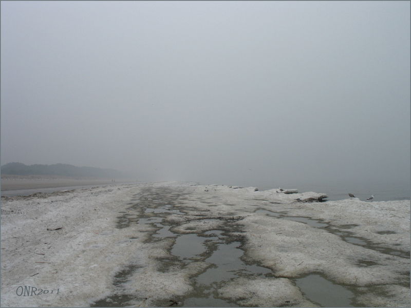 Nebel auf Usedom