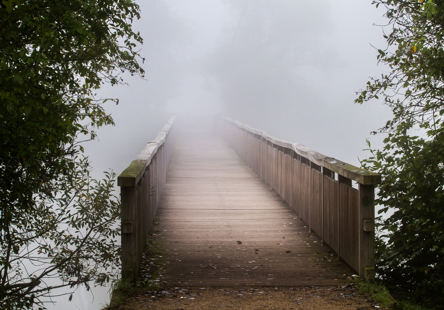 Nebel Aufnahme der Brücke zur Vogelinsel (Die Normale)